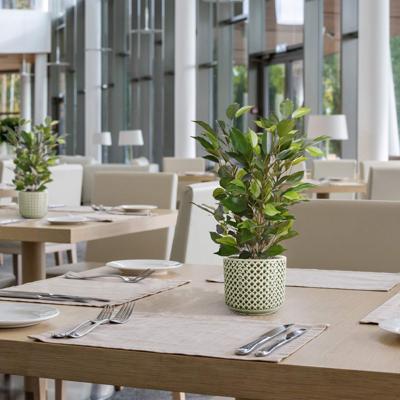 Ficus Natasja Kunstplant 40cm in 10cm pot