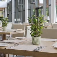 Ficus Natasja Kunstplant 40cm in 10cm pot - thumbnail