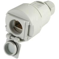 Telegärtner 100022950 STX V6 RJ45-koppelingsdoos variant 6 Koppeling, recht Aantal polen: 8P8C Lichtgrijs 1 stuk(s) - thumbnail