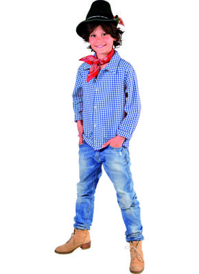 tiroler hemd ruitje blauw wit