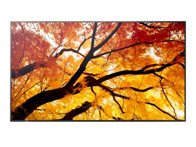 Videowall Monitor Sharp 60006053 4K Ultra HD 42,5"