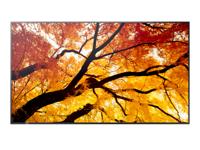 Videowall Monitor Sharp 60006053 4K Ultra HD 42,5" - thumbnail