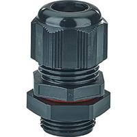 Hensel 36001084 Wartel Zwart 1 stuk(s) - thumbnail