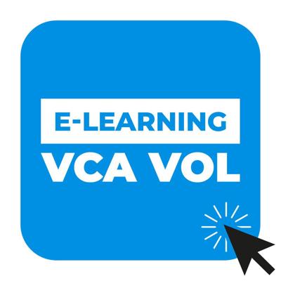 VCA e-learning basis of vol - VOL