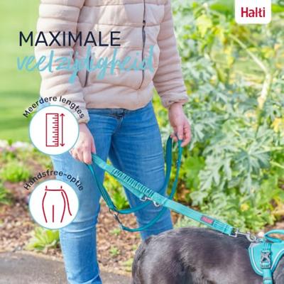 HALTI Anatomy multifunctionele hondenlijn - Reflecterende Lijn met schokabsorberend tussenstuk en twee clips, ideaal om honden te trainen en uit te laten. Geschikt voor puppy's (Maat L, Magenta)