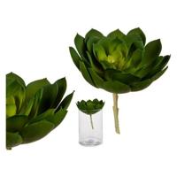 Decoratieve plant Groen Plastic - thumbnail