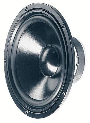 Visaton W 250 S - 8 Ohm 10 inch 25.4 cm Woofer 100 W 8 Ω Visaton W 250 S - 8 Ohm 10 inch 25.4 cm Woofer 100 W 8 Ω