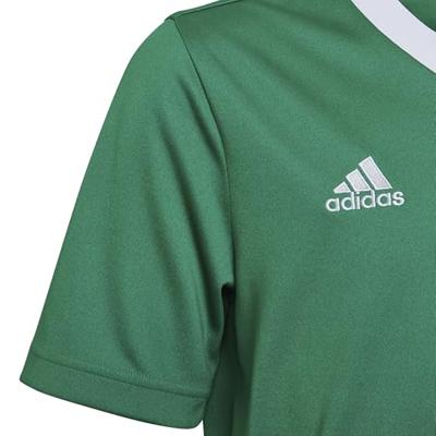 adidas Entrada 22 Voetbalshirt Kids Groen Wit