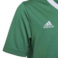 adidas Entrada 22 Voetbalshirt Kids Groen Wit - thumbnail
