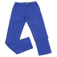 Callistemon - struik - hoogte 60 cm - thumbnail