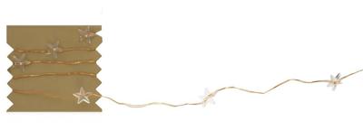 HEMA Lichtsnoer 3m met 30 LED lampjes ster voor binnen (wit)