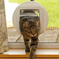 SureFlap Cat door rosette Montage-adapter Wit 1 stuk(s) - thumbnail