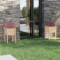 VidaXL Plantenbakken 2 st 40x40x70 cm massief grenenhout - thumbnail