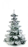 Snow Tree 180cm - thumbnail