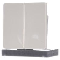 Siemens 5TG6275 2-voudig Wit Schakelmateriaal 1 stuk(s) - thumbnail