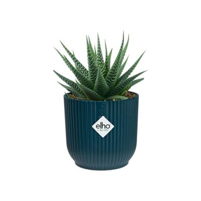Elho Bloempot Vibes Fold Diepblauw Ø7cm - thumbnail
