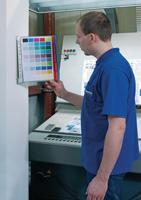 Durable Wandhouder | 10 zichtpanelen | rood/blauw | DIN A4 van hardfolie | 1 stuk - 569100 569100 - thumbnail