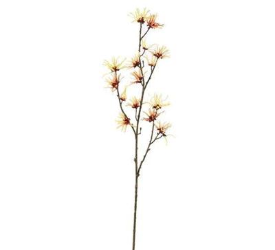 Toverhazelaartak l98 cm geel Pure Royal - Pure royal