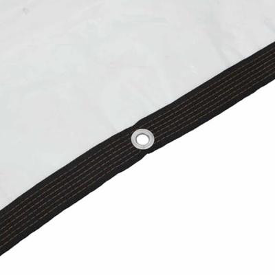 Doorzichtig zeildoek met zeilringen 2x8 m polyethyleen Doorzichtig zeildoek met zeilringen 2x8 m polyethyleen