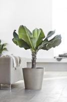 Ecopots Amsterdam kunststof bloempot Taupe - Ø 36,6 cm - thumbnail