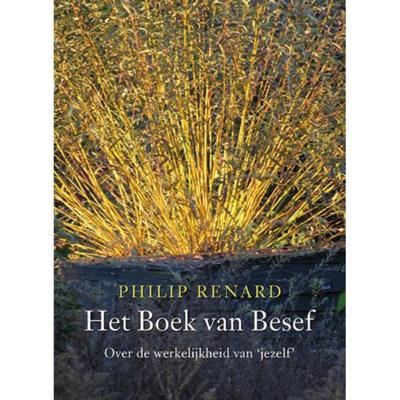 Het boek van besef (Paperback)