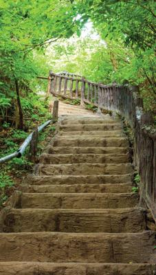 Oude trap 70x130cm Tuinschilderij Customize-it - Customize it