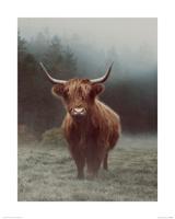 Hamish Art Print Ian Winstanley 40x50cm - thumbnail
