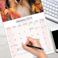 Schotse Herder Kalender 2026 - thumbnail