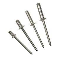 Bralo Popnagel truss-head 4,8 x 12 mm (250 stuks) - thumbnail