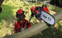 Einhell GE-LC 18 Li T-Solo Hoogsnoeier Accu Li-ion 183 cm - thumbnail