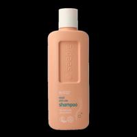 Shampoo repair and care 300 Milliliter - thumbnail