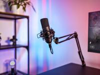 Trust GXT 253 Emita Streaming Microphone Arm bevestiging - thumbnail