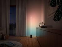 Philips Hue LED-staande lamp 871869617626900 Signe LED vast ingebouwd 29 W Warmwit tot koudwit - thumbnail