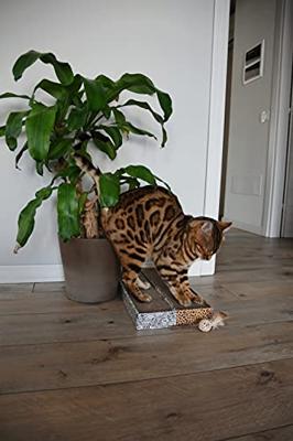 Croci krabplank homedecor dierenprint zebra