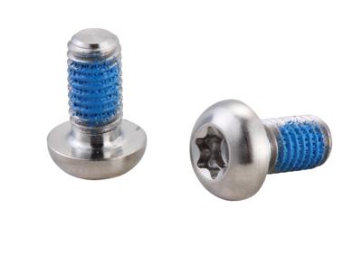 Elvedes Remschijfboutjes m5 × 11 rvs (10 stuks)