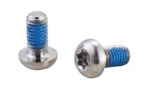 Elvedes Remschijfboutjes m5 × 11 rvs (10 stuks) - thumbnail