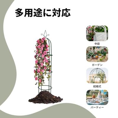 VidaXL Tuinboogtorens 2 st