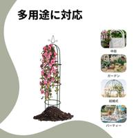 Tuinboogtorens voor rozen en klimplanten 2 stuks - thumbnail