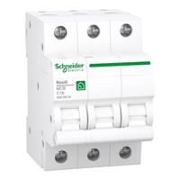 Schneider Electric R9F28316 Zekeringautomaat - thumbnail