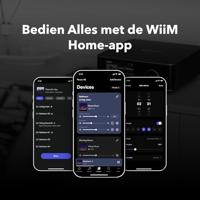 WiiM Amp Ultra met Voice Remote 2 | 100W streamingversterker met ESS ES9039Q2M DAC & Dual TI TPA3255 versterkers | Ingebouwde RoomFit EQ & Touchscreen | HDMI ARC, Optische & RCA-ingangen | Zilver - thumbnail