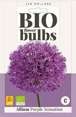 Bio allium purple sensation 5 bollen Bio allium purple sensation 5 bollen