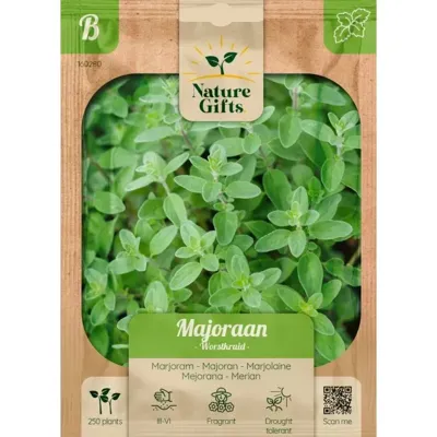 Majoraan worstkruid 250st
