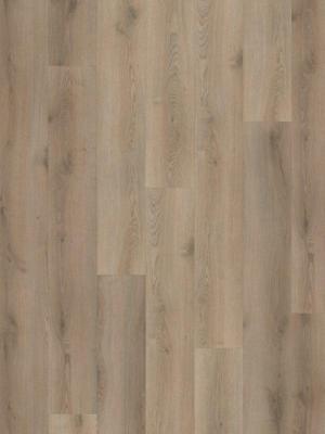 Hoomline PVC - Stilleven Van Gogh 230