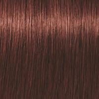 Indola Profession Xpress Color Permanent Color Haarverf 6.65 Donker Blond Rood Mahonie 60ml - thumbnail