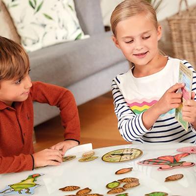 Insectenjagers - Bordspel - BOOMGAARD