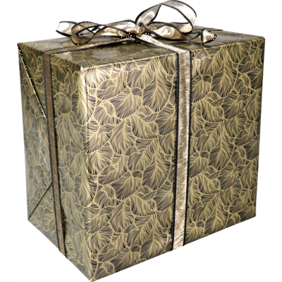 Cadeaupapier 30cm 200m 80gr/m Leaves zwart goud