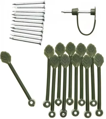 Nature clematisklemmen