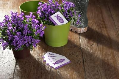 Visitekaart Avery Zweckform C32011-25 85x54mm 200gr 250stuks Visitekaart Avery Zweckform C32011-25 85x54mm 200gr 250stuks