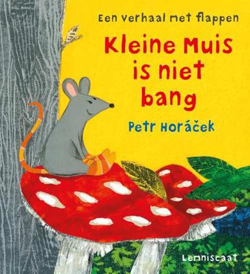 Lemniscaat kleine Muis is niet bang