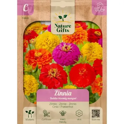 Zinnia dahlia bloemig mengsel 50st